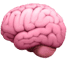 icone de cerveau